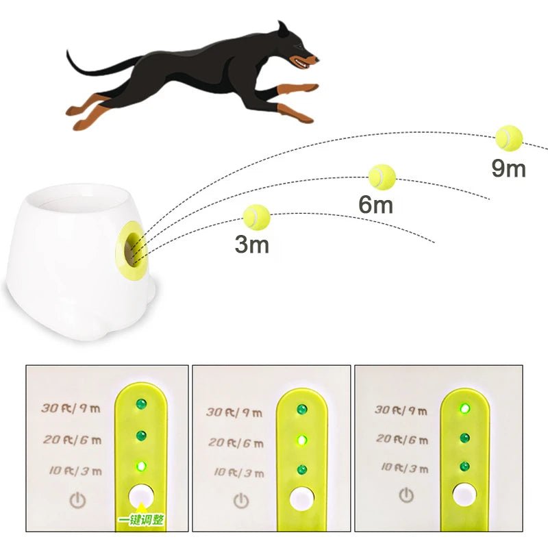 BalShooter for Dogs 6PCS Balls Included - MultiXLBalShooter for Dogs 6PCS Balls IncludedtoyTheBestPetsPlaceMultiXLBalShooter for Dogs 6PCS Balls Included - MultiXL